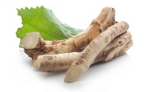 horseradish root to increase potency