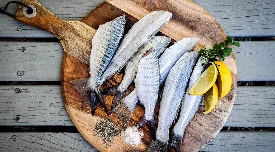 fish for power