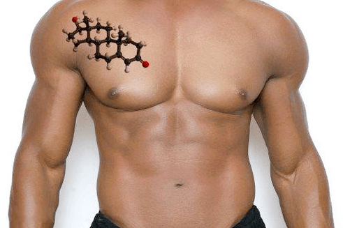 beautiful male torso