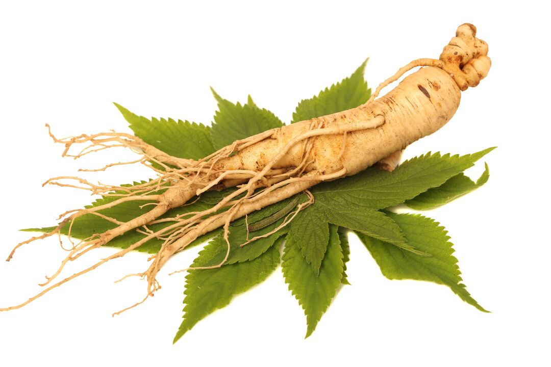 ginseng - an element of the Alfazone composition